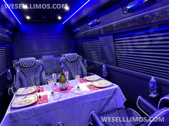 2023 Auto Elite Road Liner 737 9 Passenger Massive Trunk Mercedes-Benz Sprinter