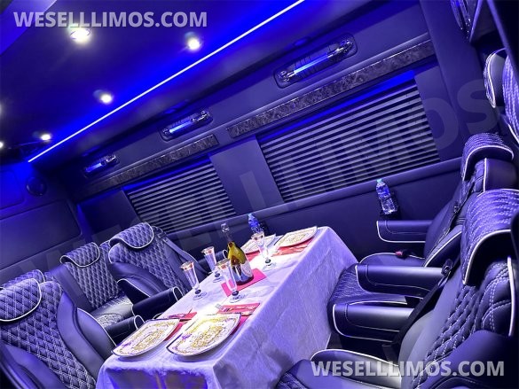 2023 Auto Elite Road Liner 737 9 Passenger Massive Trunk Mercedes-Benz Sprinter