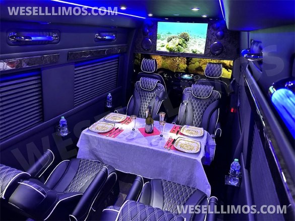 2023 Auto Elite Road Liner 737 9 Passenger Massive Trunk Mercedes-Benz Sprinter