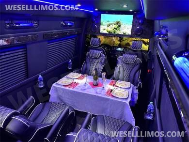 2023 Auto Elite Road Liner 737 9 Passenger Massive Trunk Mercedes-Benz Sprinter