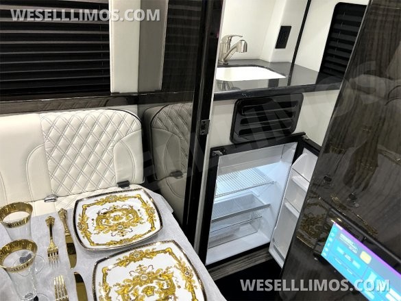 2025 Auto Elite Eco Revolution Limousine 10 Pass AMG Trim Mercedes-Benz Sprinter
