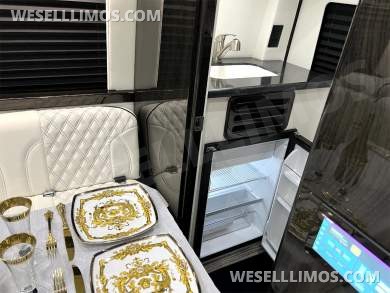 2025 Auto Elite Eco Revolution Limousine 10 Pass AMG Trim Mercedes-Benz Sprinter