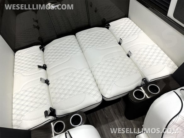 2025 Auto Elite Eco Revolution Limousine 10 Pass AMG Trim Mercedes-Benz Sprinter