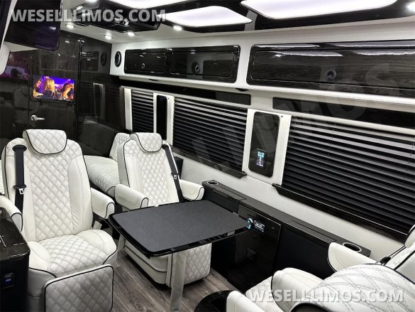 2025 Auto Elite Eco Revolution Limousine 10 Pass AMG Trim Mercedes-Benz Sprinter