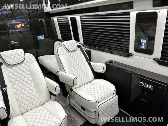 2025 Auto Elite Eco Revolution Limousine 10 Pass AMG Trim Mercedes-Benz Sprinter