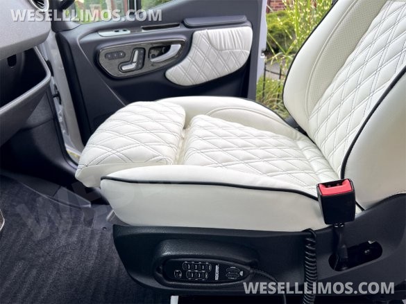 2025 Auto Elite Eco Revolution Limousine 10 Pass AMG Trim Mercedes-Benz Sprinter