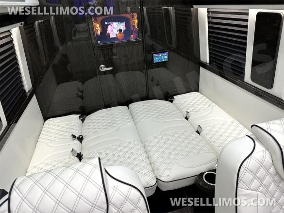 2025 Auto Elite Eco Revolution Limousine 10 Pass AMG Trim Mercedes-Benz Sprinter
