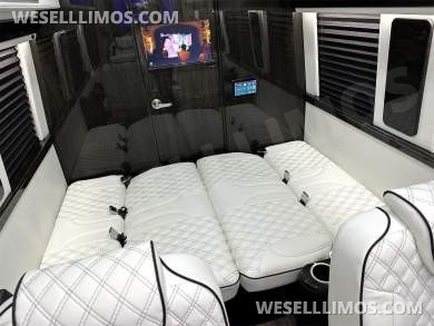 2025 Auto Elite Eco Revolution Limousine 10 Pass AMG Trim Mercedes-Benz Sprinter