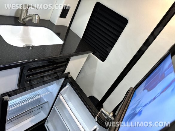 2025 Auto Elite Eco Revolution Limousine 10 Pass AMG Trim Mercedes-Benz Sprinter