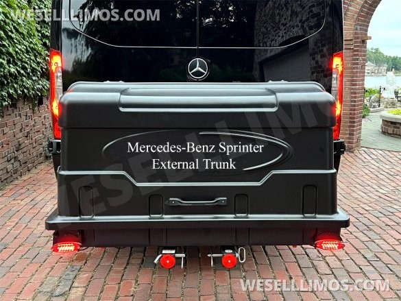 2025 Auto Elite Eco Revolution Limousine 10 Pass AMG Trim Mercedes-Benz Sprinter