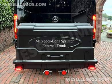 2025 Auto Elite Eco Revolution Limousine 10 Pass AMG Trim Mercedes-Benz Sprinter