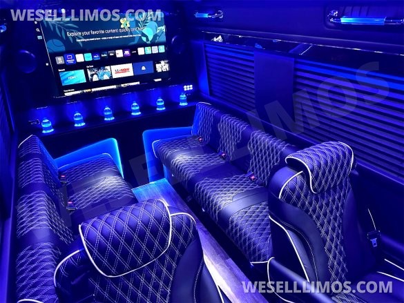2024 Phantom Trim Auto Elite Touring Coach 14 Passenger Mercedes-Benz Sprinter