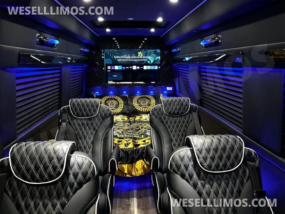 2024 Phantom Trim Auto Elite Touring Coach 14 Passenger Mercedes-Benz Sprinter
