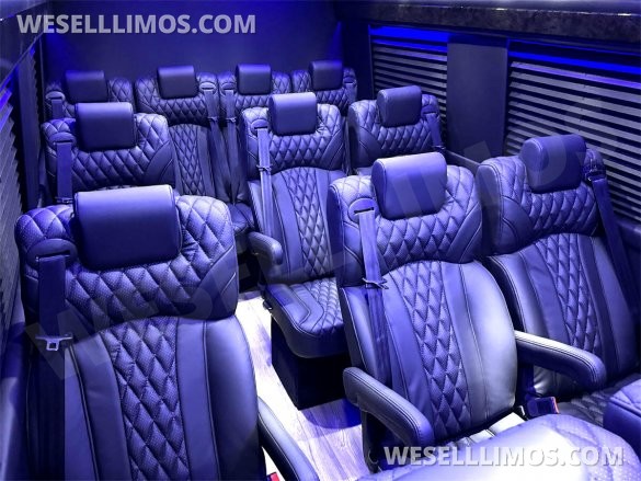2024 Auto Elite 15 Passenger Coach Large Legroom Mercedes-Benz Sprinter