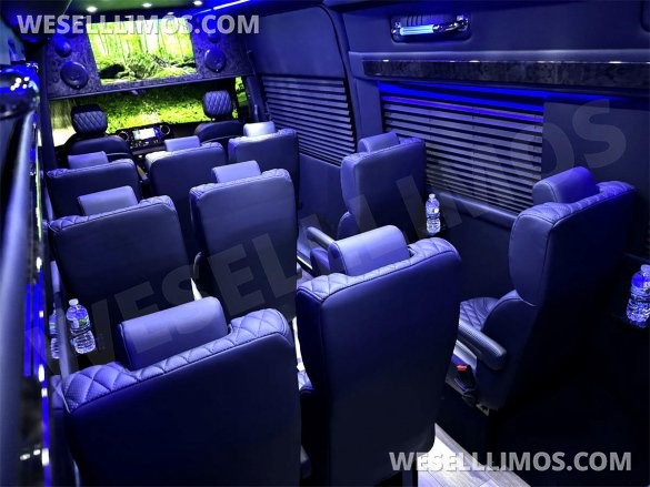 2024 Auto Elite 15 Passenger Coach Large Legroom Mercedes-Benz Sprinter