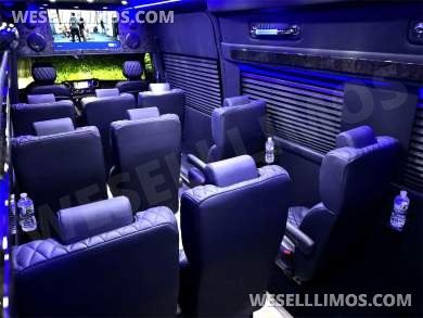 2024 Auto Elite 15 Passenger Coach Large Legroom Mercedes-Benz Sprinter