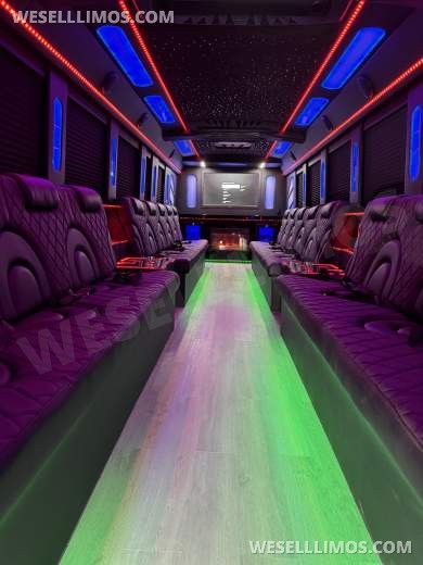 2020  F650 exotic Bus