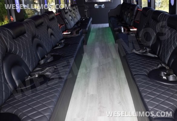 2020  F650 exotic Bus