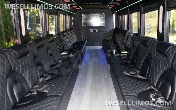 2020  F650 exotic Bus