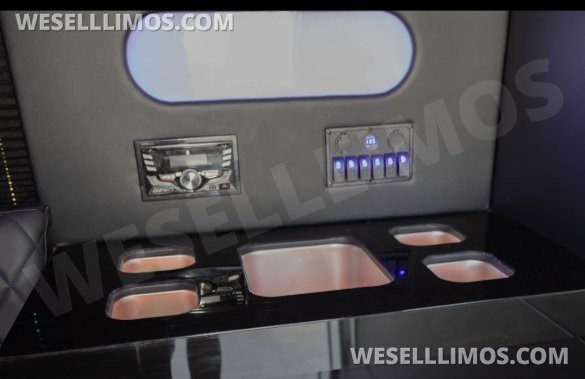 2020  F650 exotic Bus