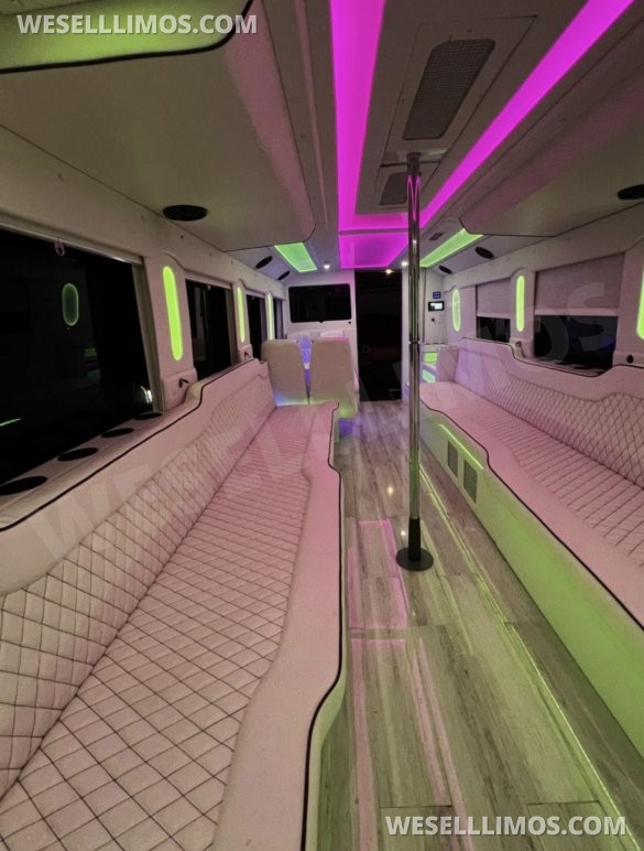 2020  F650 exotic Bus