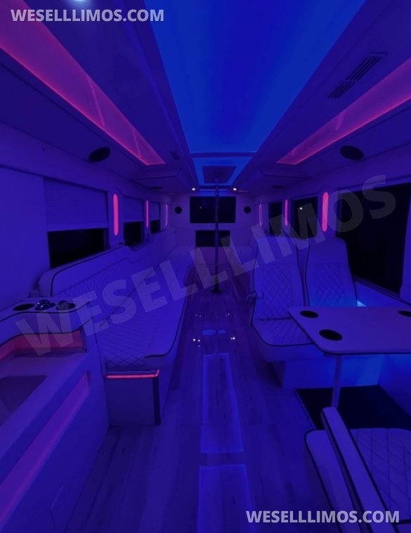 2020  F650 exotic Bus