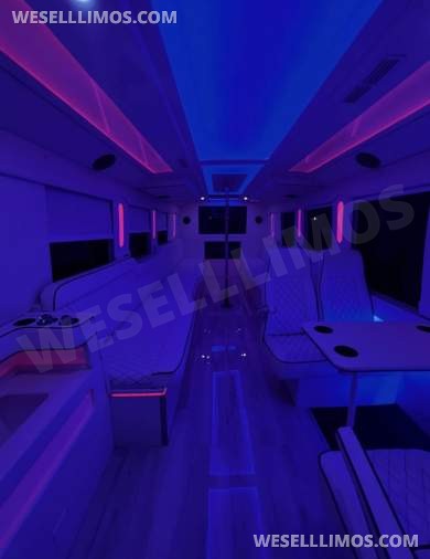 2020  F650 exotic Bus