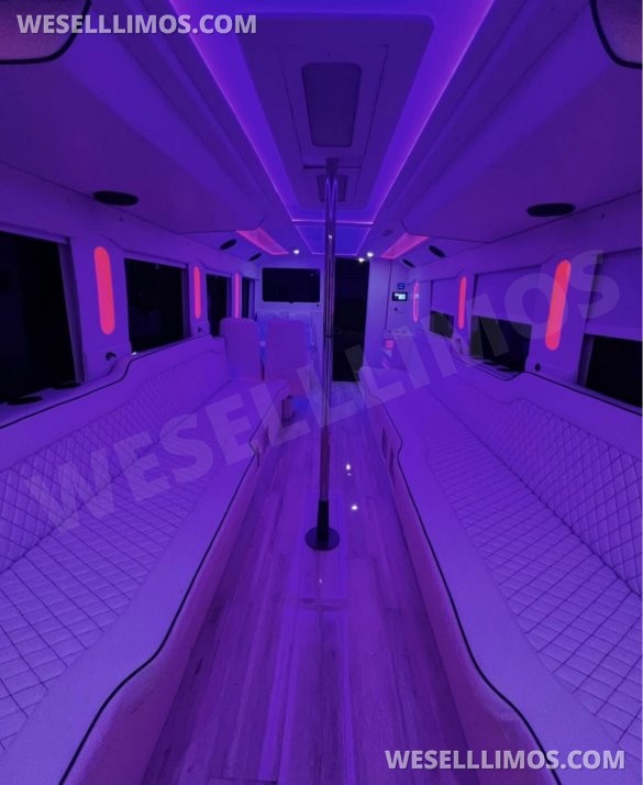 2020  F650 exotic Bus