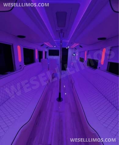 2020  F650 exotic Bus