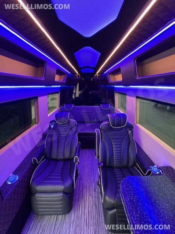 2023 Global Motor Coach Mercedes-Benz Sprinter CEO