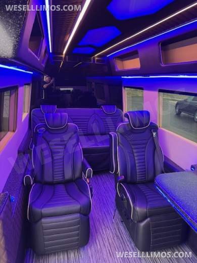 2023 Global Motor Coach Mercedes-Benz Sprinter CEO