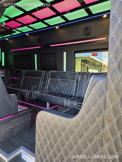 2020 Global Motor Coach Ford Limo Van 12 PAX