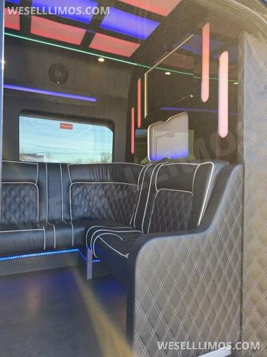 2020 Global Motor Coach Ford Limo Van 12 PAX