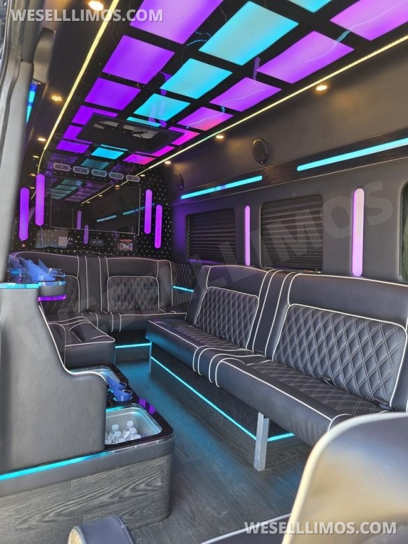 2020 Global Motor Coach Ford Limo Van 12 PAX