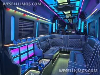 2020 Global Motor Coach Ford Limo Van 12 PAX