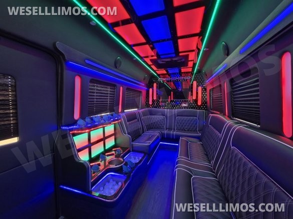 2020 Global Motor Coach Ford Limo Van 12 PAX
