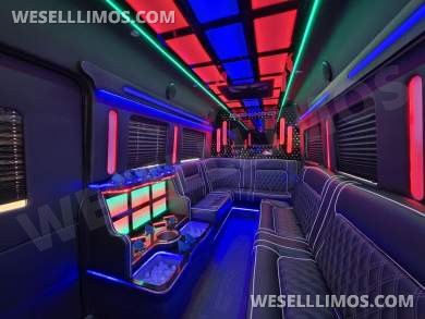 2020 Global Motor Coach Ford Limo Van 12 PAX