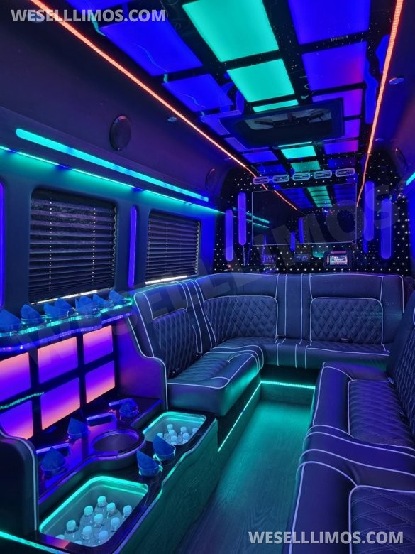 2020 Global Motor Coach Ford Limo Van 12 PAX