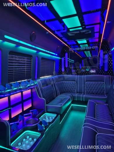 2020 Global Motor Coach Ford Limo Van 12 PAX