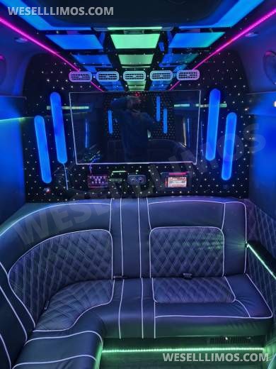 2020 Global Motor Coach Ford Limo Van 12 PAX