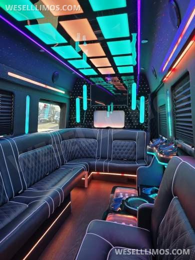 2020 Global Motor Coach Ford Limo Van 12 PAX