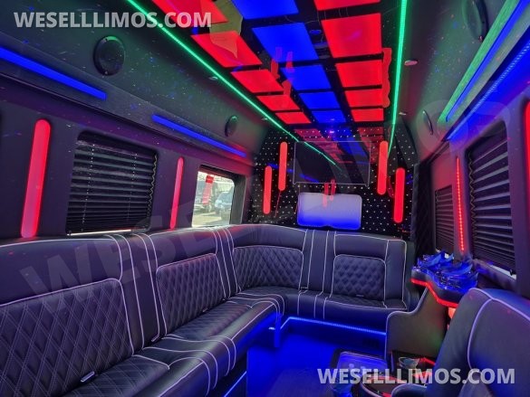 2020 Global Motor Coach Ford Limo Van 12 PAX