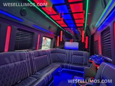 2020 Global Motor Coach Ford Limo Van 12 PAX