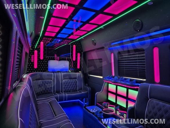 2020 Global Motor Coach Ford Limo Van 12 PAX