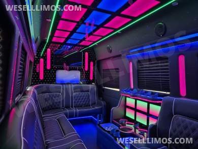 2020 Global Motor Coach Ford Limo Van 12 PAX
