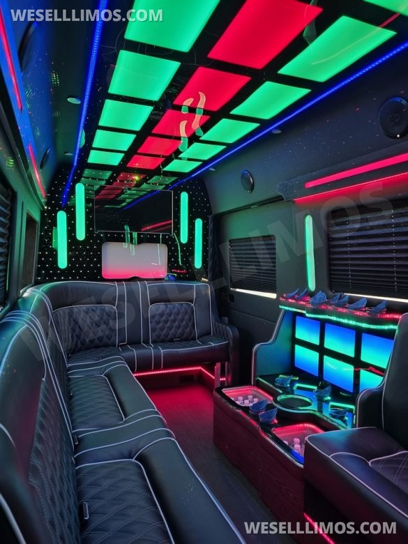 2020 Global Motor Coach Ford Limo Van 12 PAX