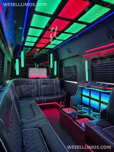 2020 Global Motor Coach Ford Limo Van 12 PAX