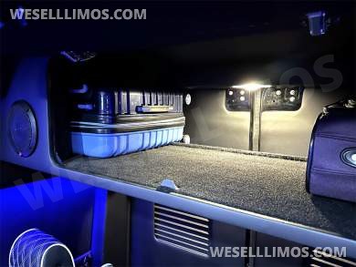 2024 Transformer 12 Passenger Auto Elite Mercedes-Benz Sprinter