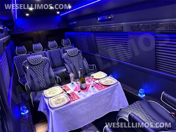 2024 Transformer 12 Passenger Auto Elite Mercedes-Benz Sprinter