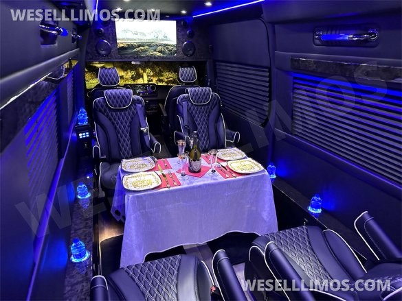 2024 Transformer 12 Passenger Auto Elite Mercedes-Benz Sprinter